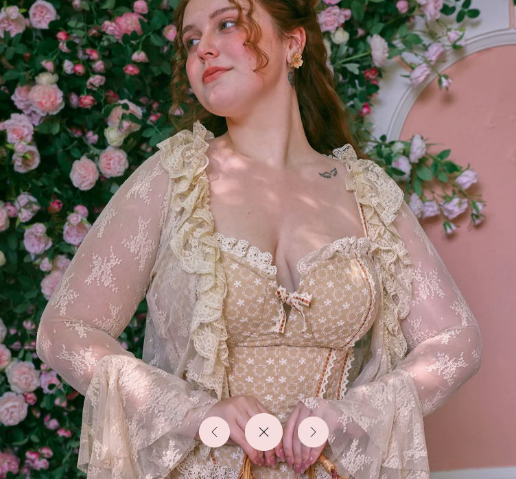 Curve & Plus Miss Cinnamon Corset Dress